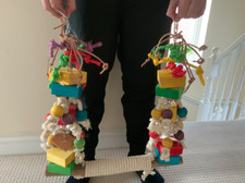 Giant Macaw Parrot Swing