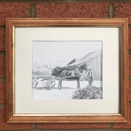 Shire horse drawing and - shire,