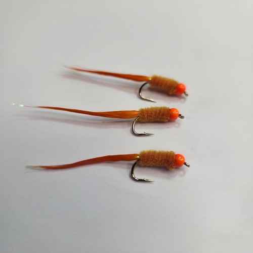 Orange hothead wooley - 3,