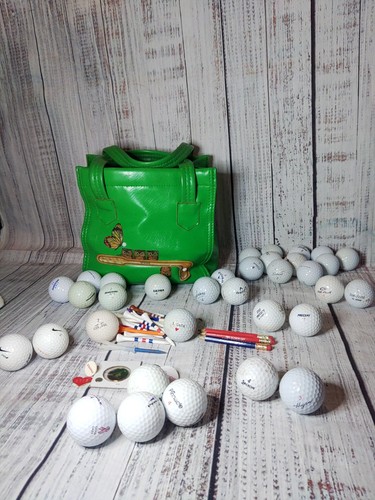 Vintage golf bag - vintage,