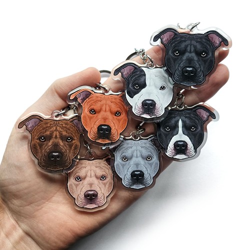 Staffordshire bull terrier