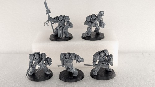 Paladin terminators squad grey - squad,