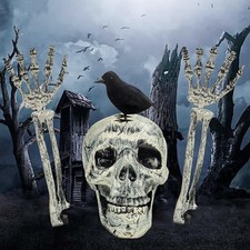 Skeleton Bones Prop Ground