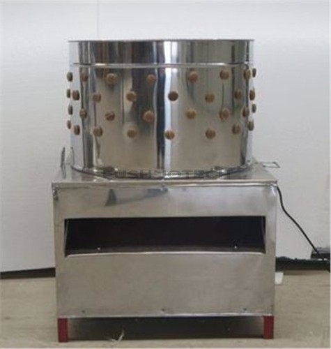 Turkey chicken plucker poultry - turkey,
