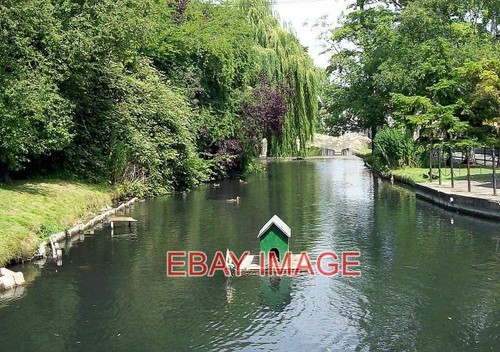 Photo duck house - duck, river