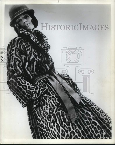 1964 press photo - photo, natural