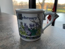 Royal Worcester The Months Of The Year FEBRUARY Sue Scullard 1992 Mug - unused