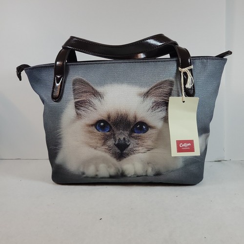 Ragdoll burman cat kitten - ragdoll,