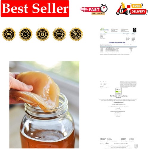 Litre organic kombucha scoby - 5,
