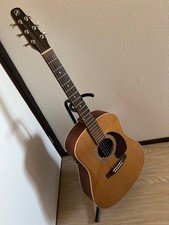 Seagull S6 + Cedar GT acoustic