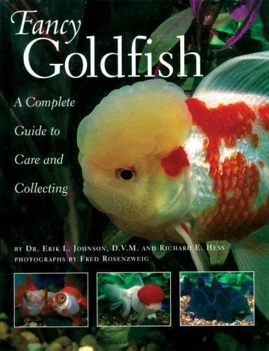 Fancy goldfish complete guide - fancy, goldfish: