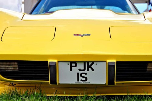 Chevrolet corvette stingray - chevrolet,