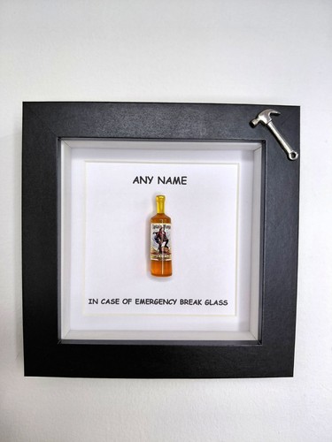 Fun novelty case - fun, of