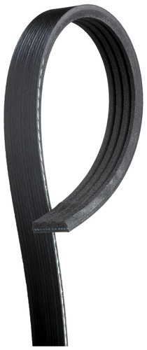 4pk905 gates ribbed - 4pk905,