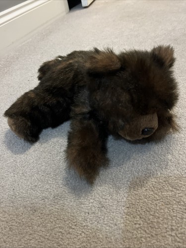 Brown teddy bear from - brown, the