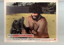 Lobby Card: Sands Of The Kalahari-Theodore Bikel-11x14-Color-Lobby Card