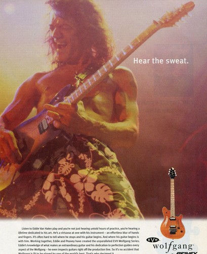 2002 print peavey evh - print, of