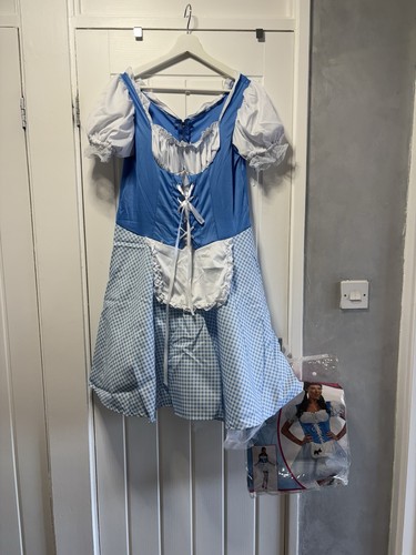 Blue gingham dorothy from the - dorothy,