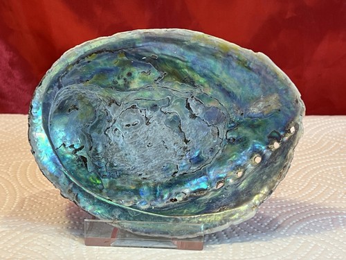 Natural abalone iridescent - natural,