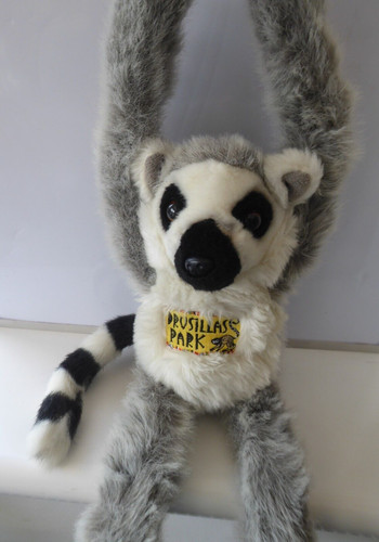 Drusillas park zoo ring - drusillas,