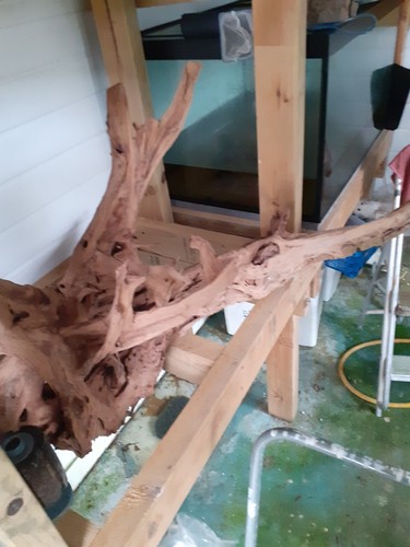 Extra large bogwood for fish - extra,
