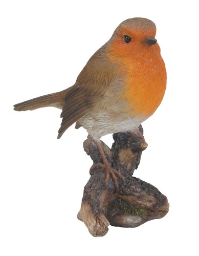 Robin bird lifelike - robin,