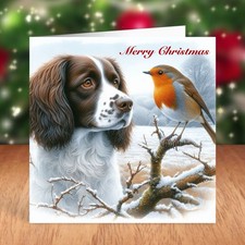 Springer Spaniel Dog Christmas Card