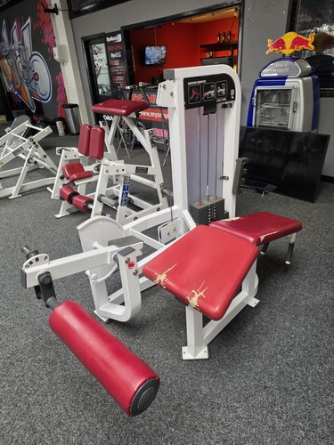 Hammer strength lying - strength,