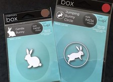 Rabbits Gentle Bunny + Jumping