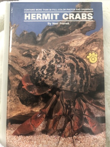 Land hermit crabs - land,