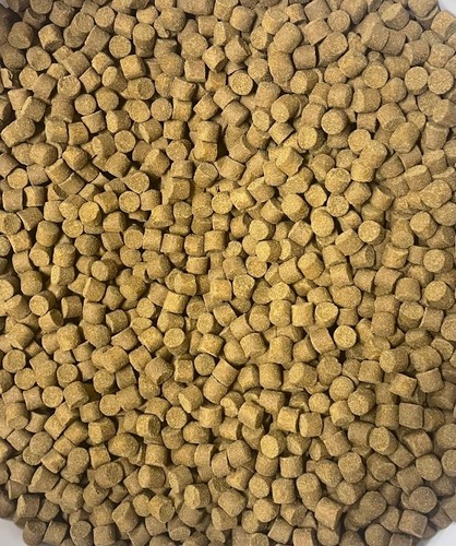 Premium sturgeon food 6mm - food, 6mm,8mm