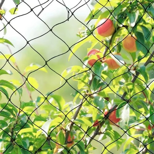 20m heavy duty fruit - 2m-20m, |
