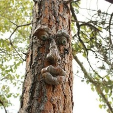 Outdoor Tree Face Statue – Funny Old Man Tree Hugger Yard Art Decoration