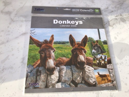 2026 calendar selection - calendar, a4