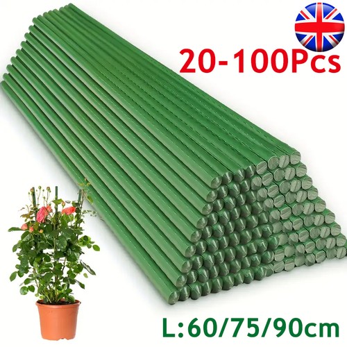 Garden plant stakes - garden,