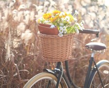 Bike Basket Wicker Woven Retro