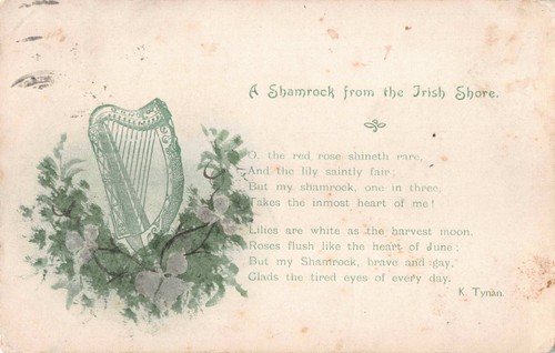 Postcard ireland a - -, shamock
