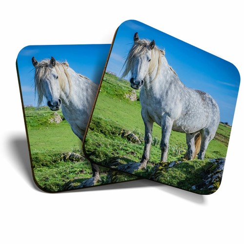 Coasters highland pony - coasters,