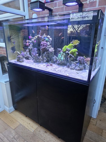 Red sea reefer xl 425 - xl,