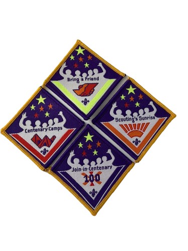 Scouts join centenary - uk, join-in-centenary