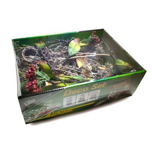 Lucky reptile life experience - life,