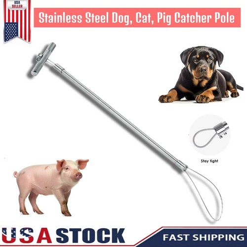 Animal catch pole control - animal,