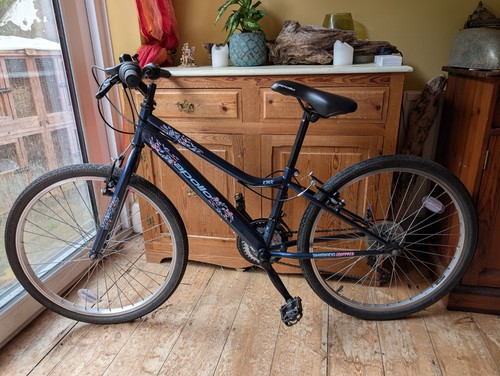 Apollo kinx childs bike - apollo,