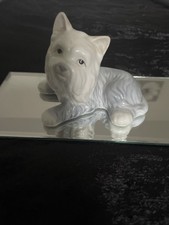 Fine Porcelain John Jenkins