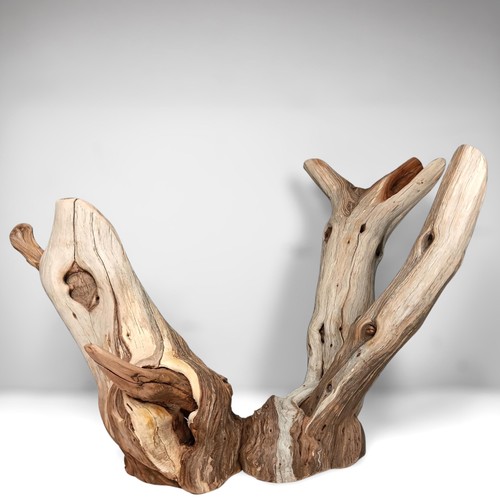 Manzanita driftwood - 22.5",