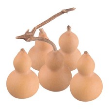 5x Natural Bottle Gourds Calabash Cucurbit for Fortune Auspicious Craft Decor xg