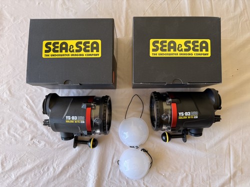 Sea duo pair - duo,