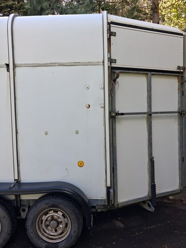 Ifor williams horse trailer - horse,