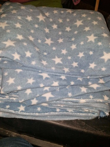 Polar fleece fabric - polar, metre