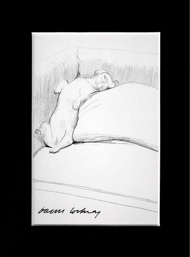 David hockney signed postcard - david,